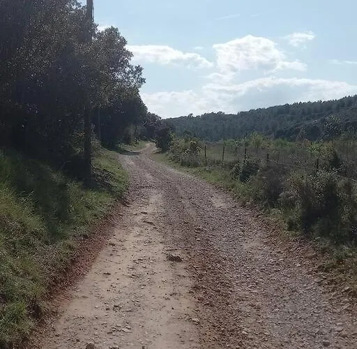 Mas Dans La Garrigue, Piscine, Petanque, Ping Pong, Volley Ball Ferienhaus *
